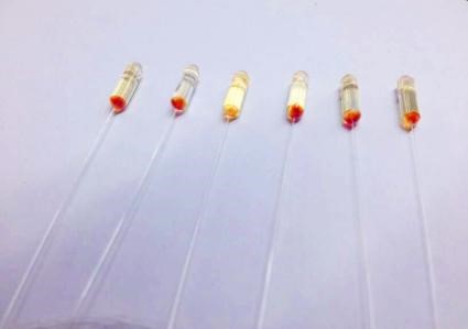 Fiber Optical Collimator